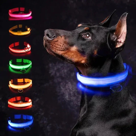 APL 048 – Coleira LED Recarregável para Cachorros com Luz Noturna